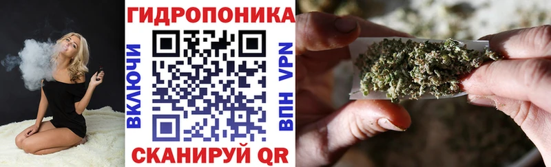 МЕФ Кувшиново