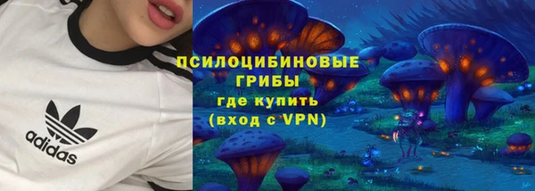 СК Алексеевка