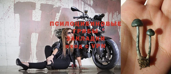 СК Алексеевка