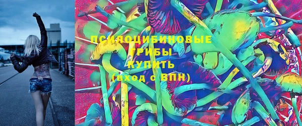 a pvp Алзамай