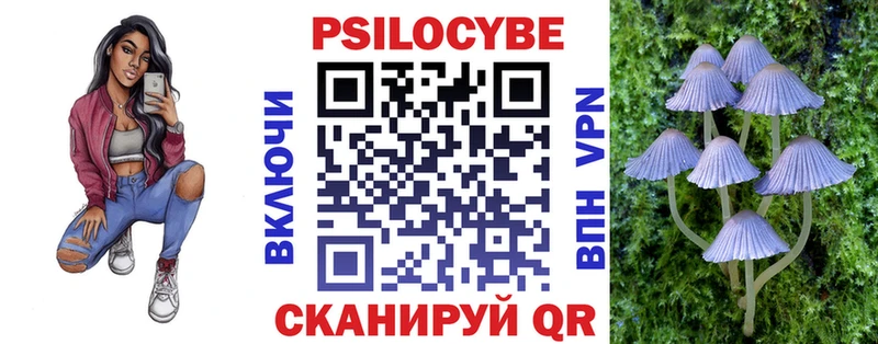 хочу наркоту  Кувшиново  Галлюциногенные грибы Psilocybine cubensis 