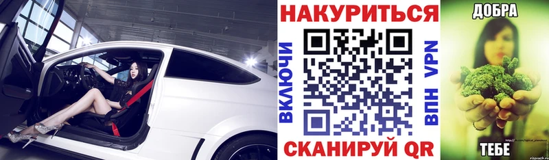 МАРИХУАНА сатива  Кувшиново 